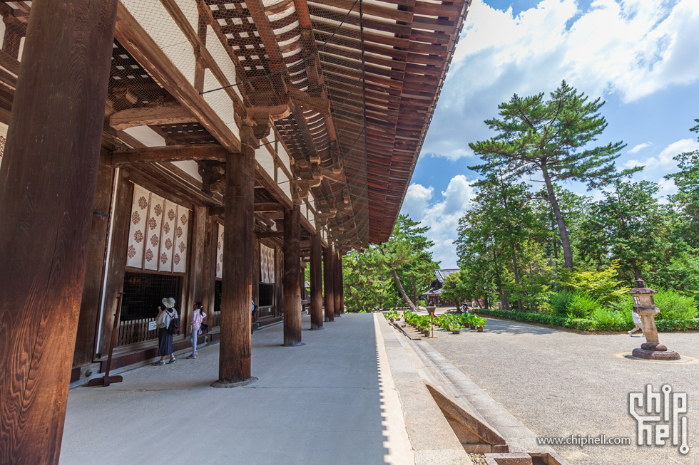IMG_1744-已增强-降噪.jpg