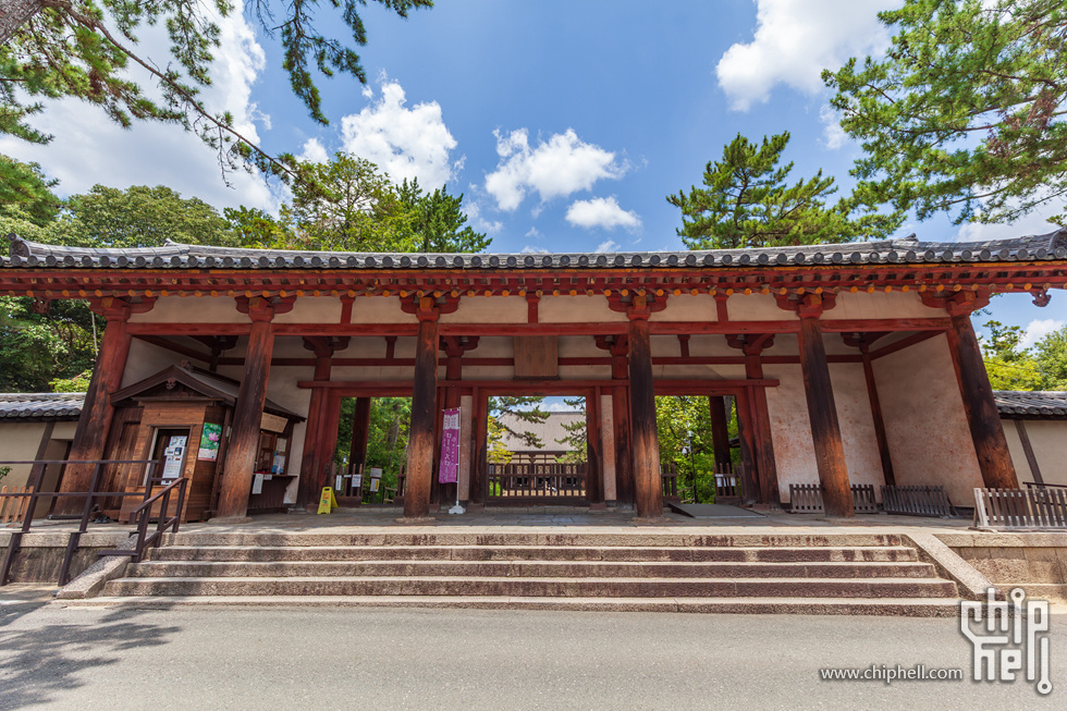 IMG_1756-已增强-降噪.jpg