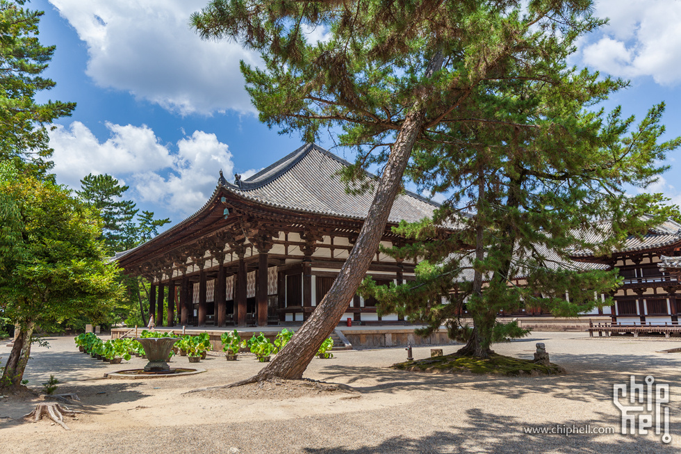IMG_1746-已增强-降噪.jpg