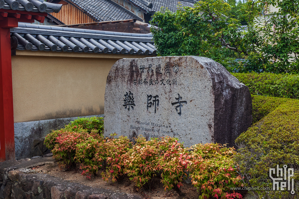 IMG_1768-已增强-降噪.jpg
