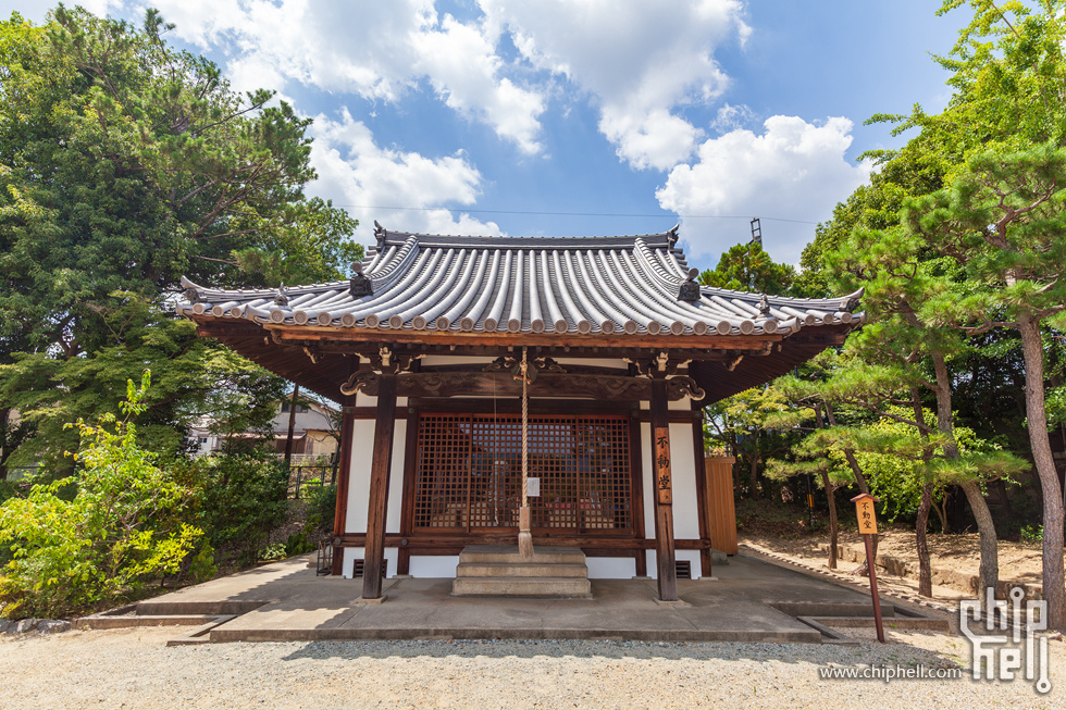 IMG_1774-已增强-降噪.jpg