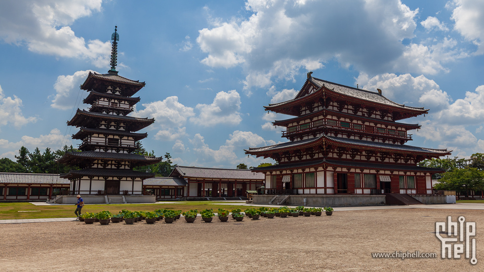 IMG_1776-已增强-降噪.jpg