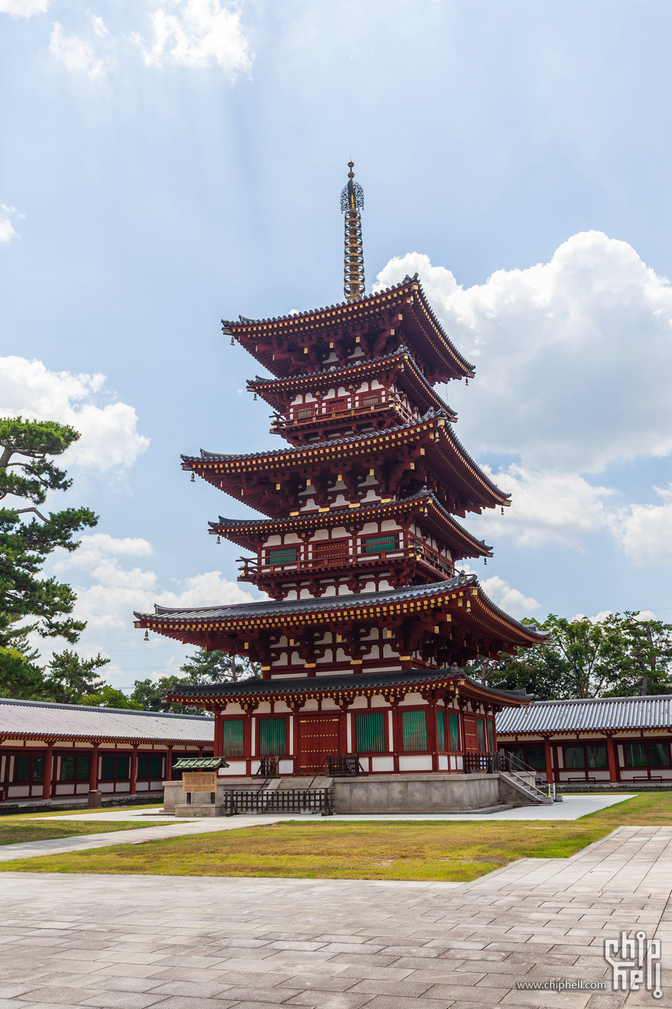 IMG_1781-已增强-降噪.jpg