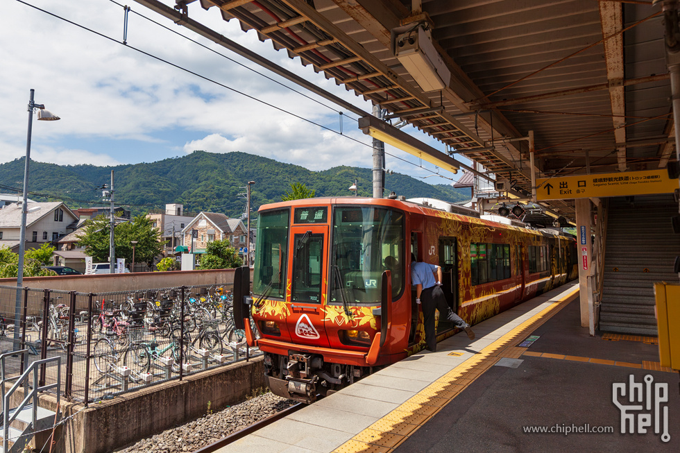 IMG_1848-已增强-降噪.jpg