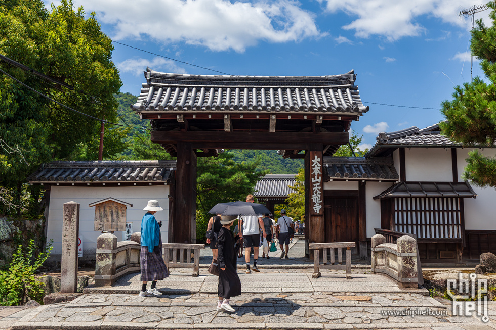 IMG_1869-已增强-降噪.jpg