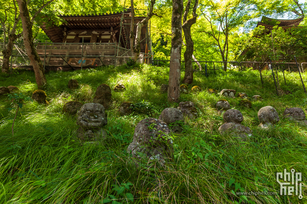 IMG_1907-已增强-降噪.jpg