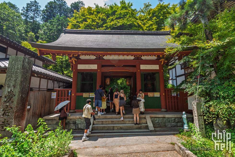 IMG_1897-已增强-降噪.jpg