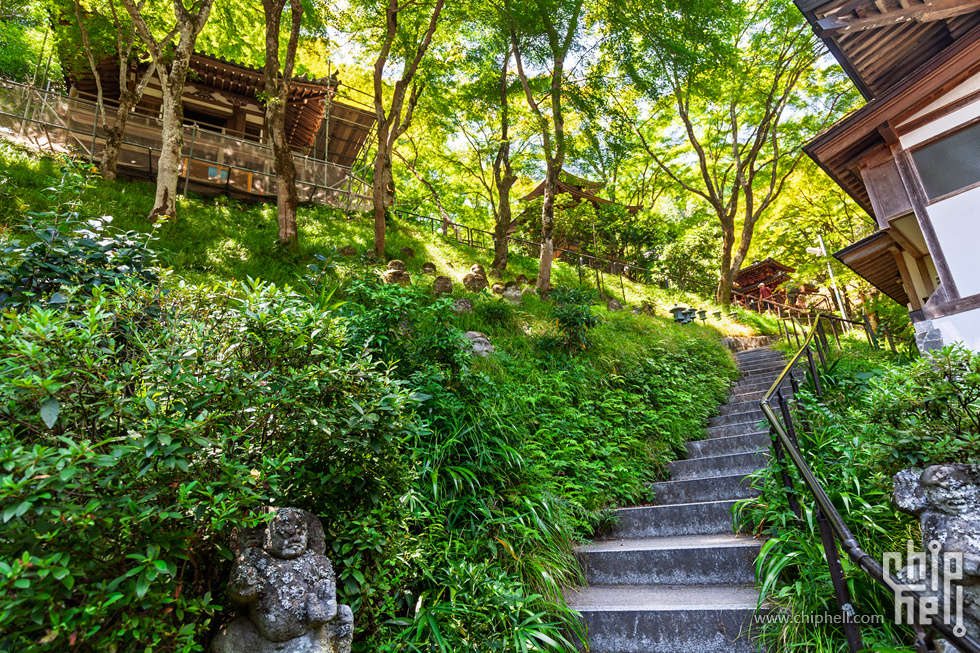 IMG_1935-已增强-降噪.jpg