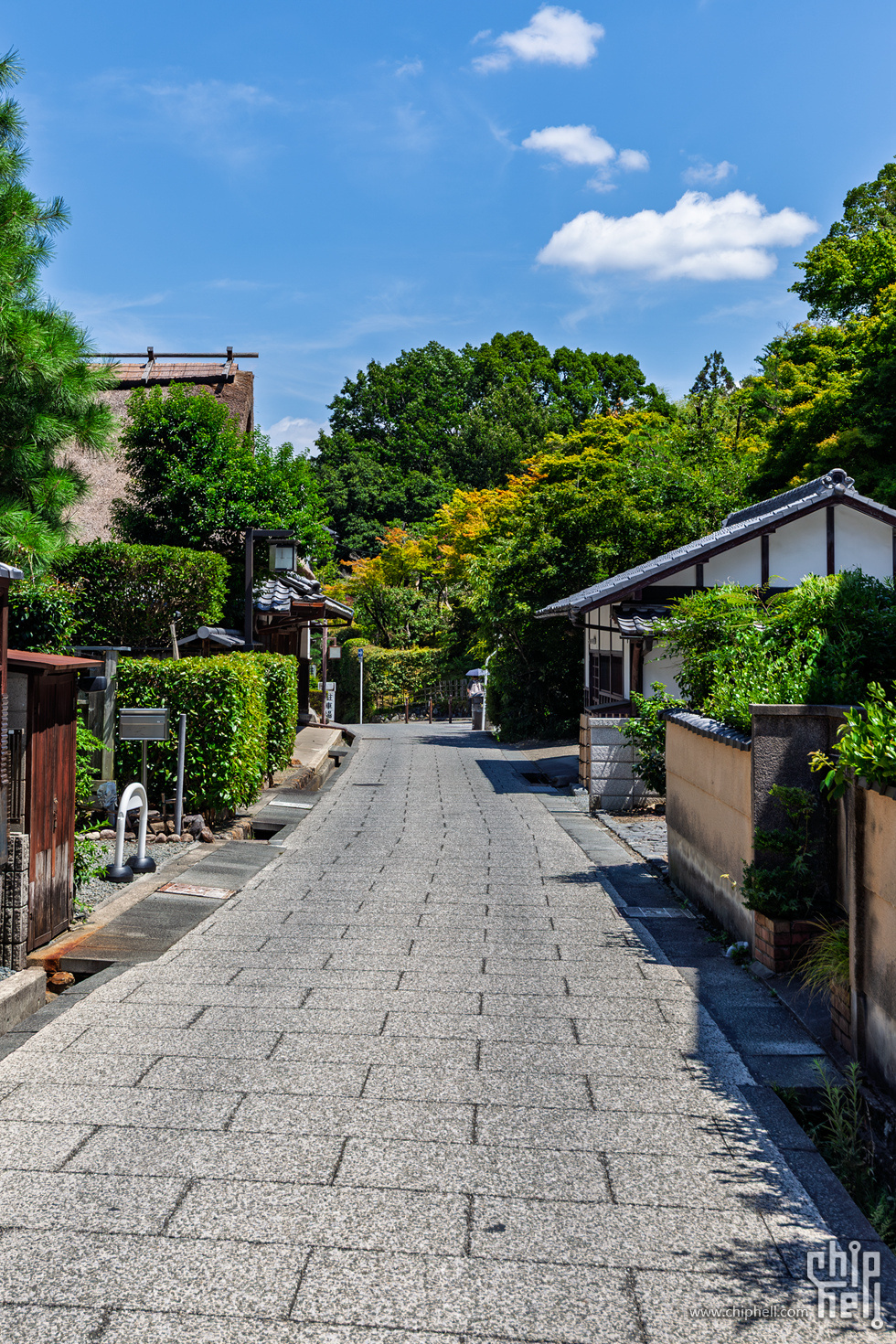 IMG_1948-已增强-降噪.jpg
