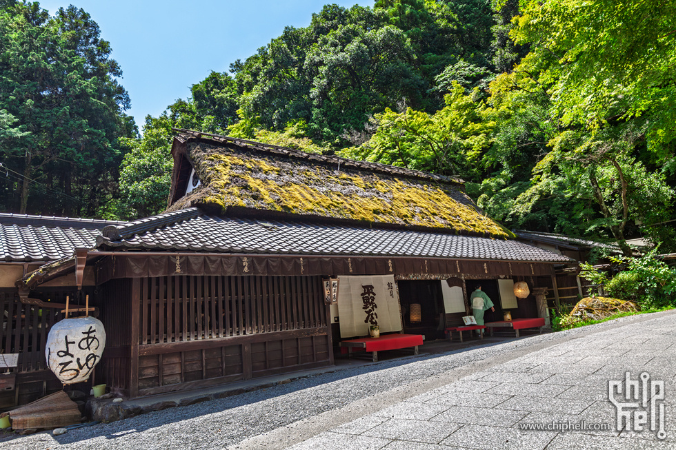 IMG_1937-已增强-降噪.jpg