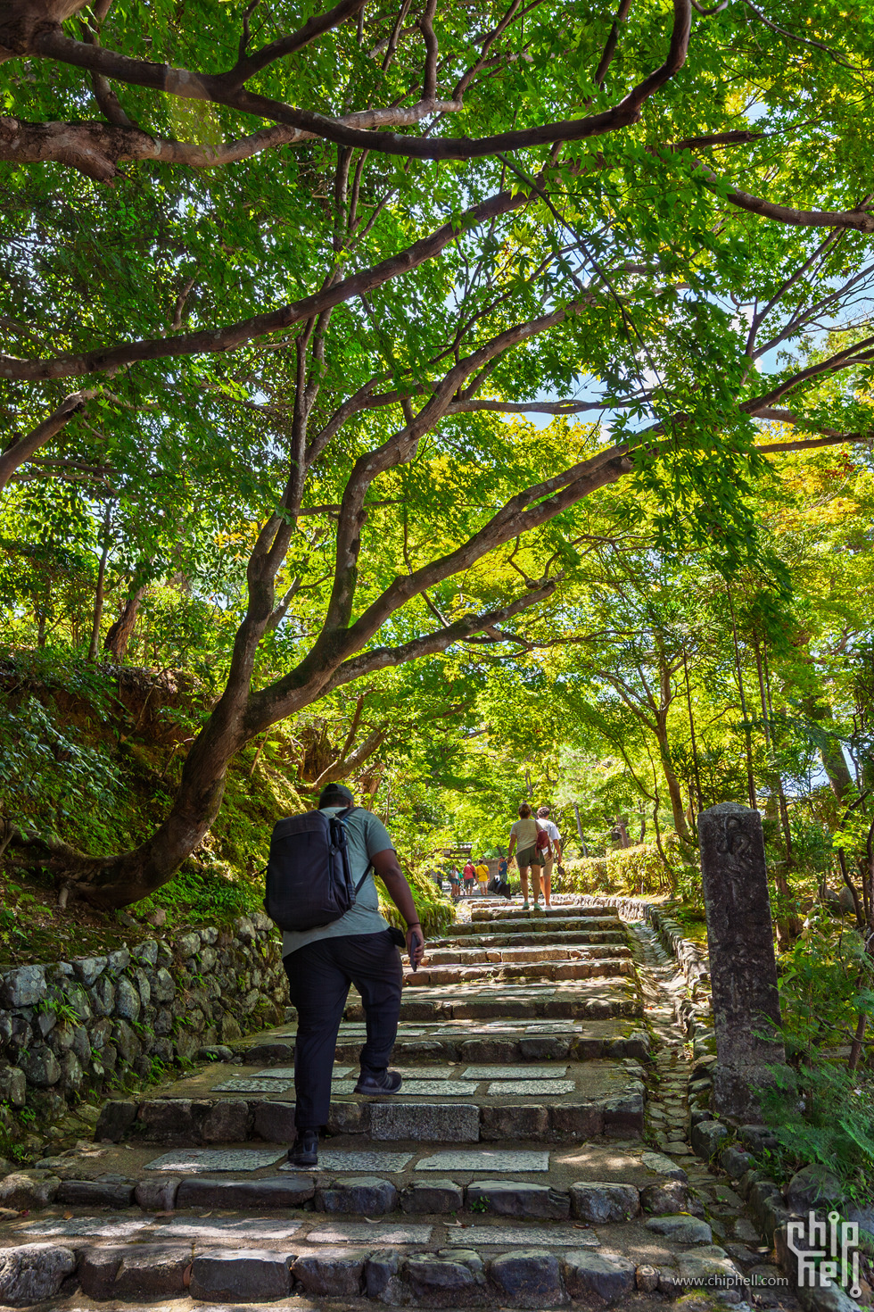 IMG_1951-已增强-降噪.jpg