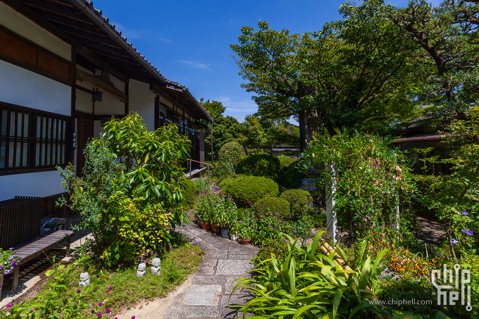 IMG_1962-已增强-降噪.jpg