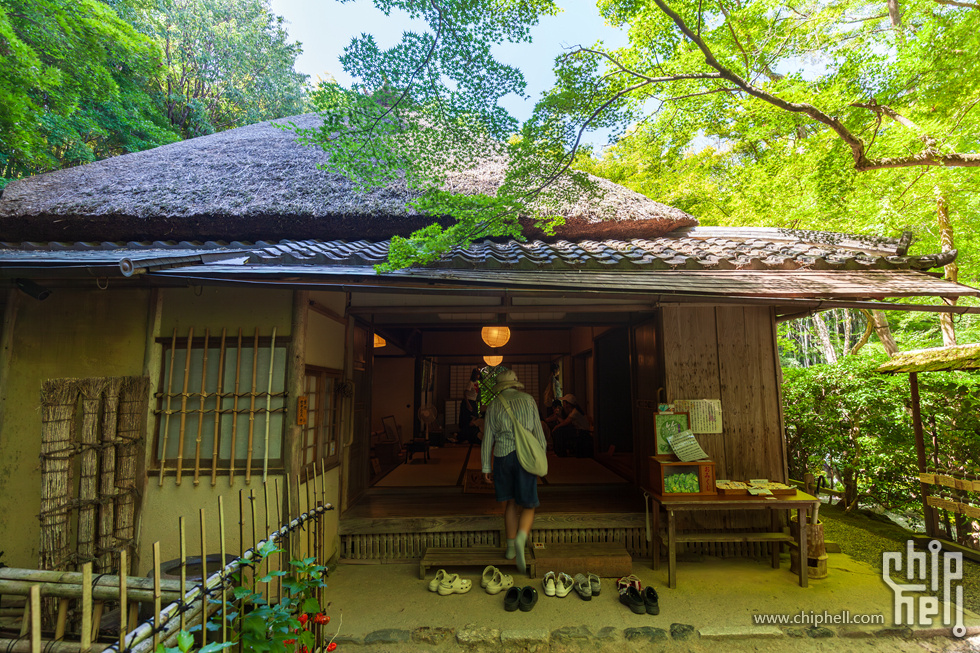 IMG_1985-已增强-降噪.jpg