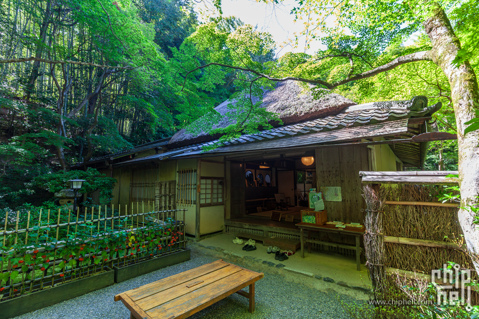 IMG_1989-已增强-降噪.jpg