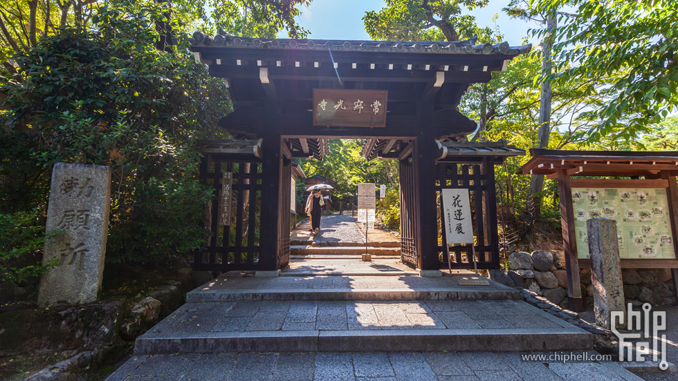 IMG_1997-已增强-降噪.jpg