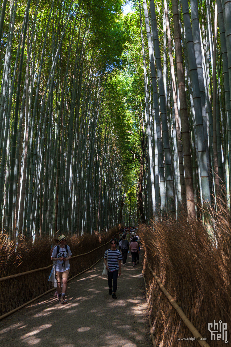 IMG_2002-已增强-降噪.jpg