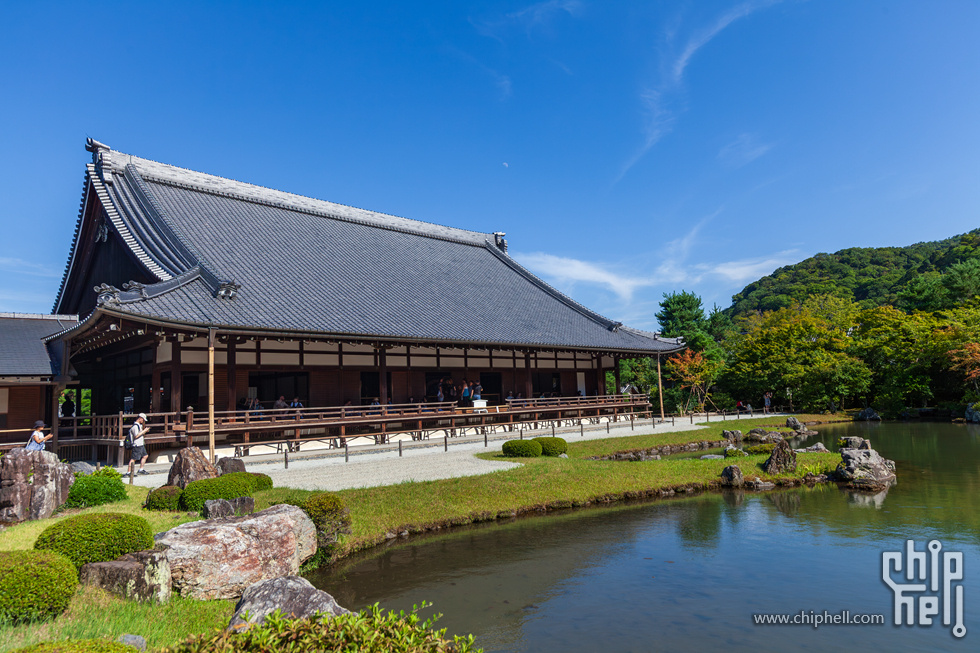 IMG_2009-已增强-降噪.jpg