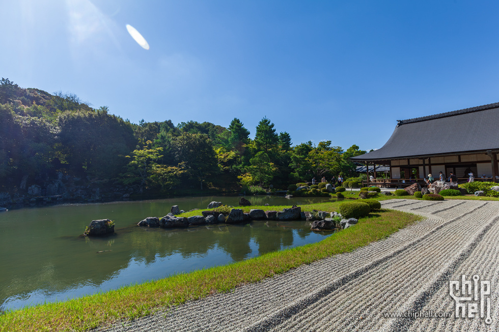 IMG_2012-已增强-降噪.jpg