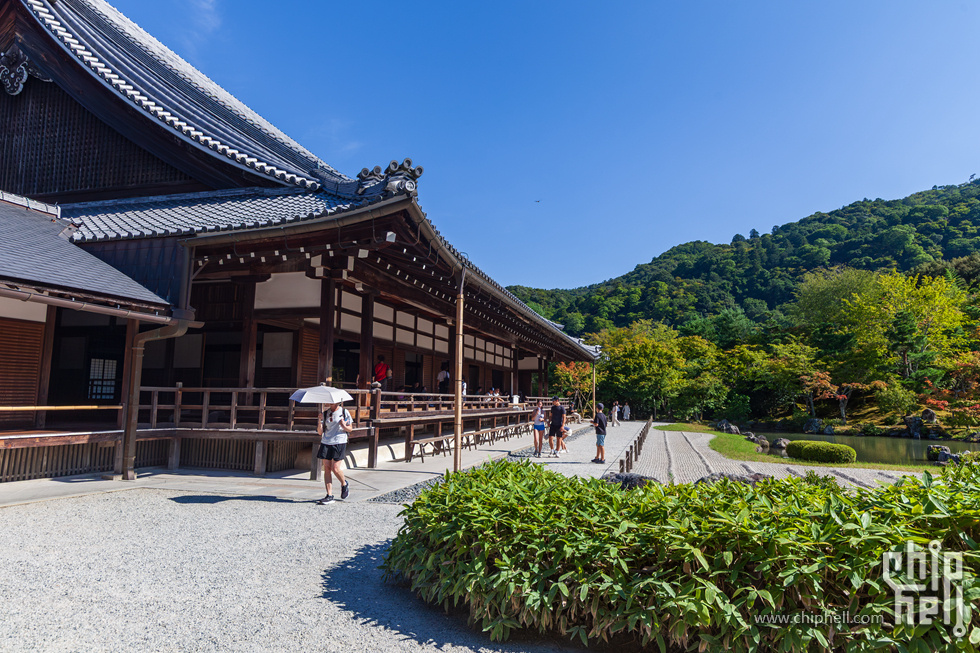 IMG_2022-已增强-降噪.jpg