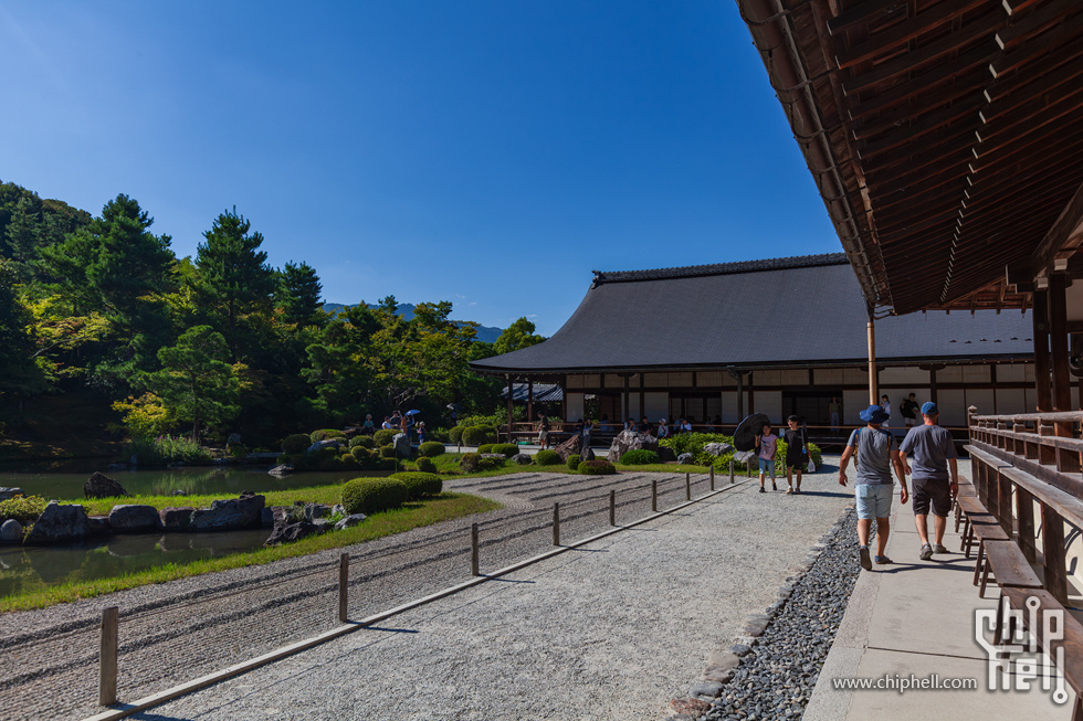 IMG_2017-已增强-降噪.jpg
