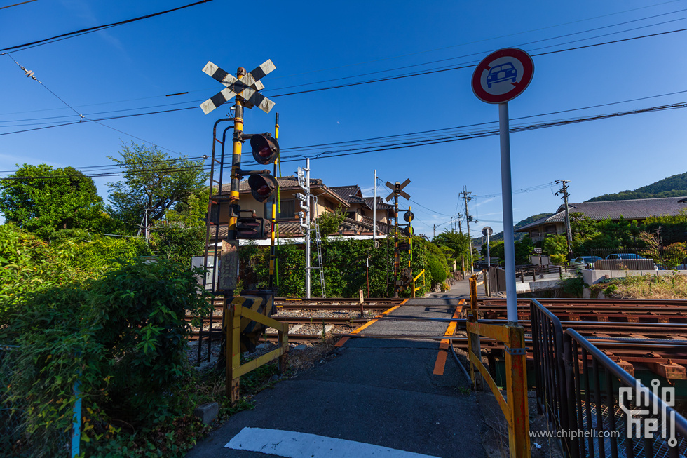 IMG_2026-已增强-降噪.jpg