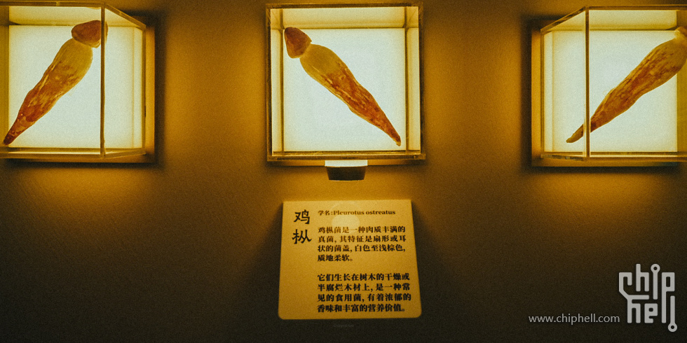 A7508983.JPG