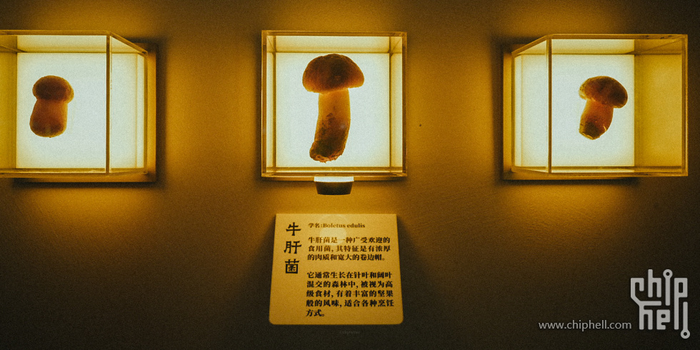 A7508984.JPG