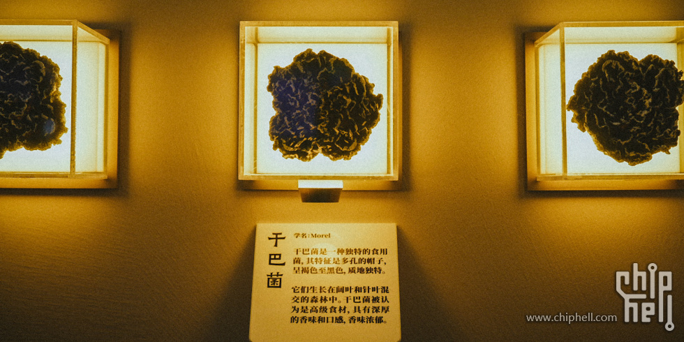A7508981.JPG