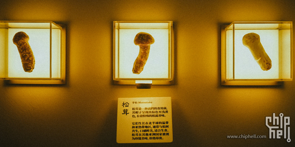 A7508980.JPG