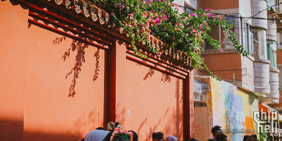 A7508953.JPG