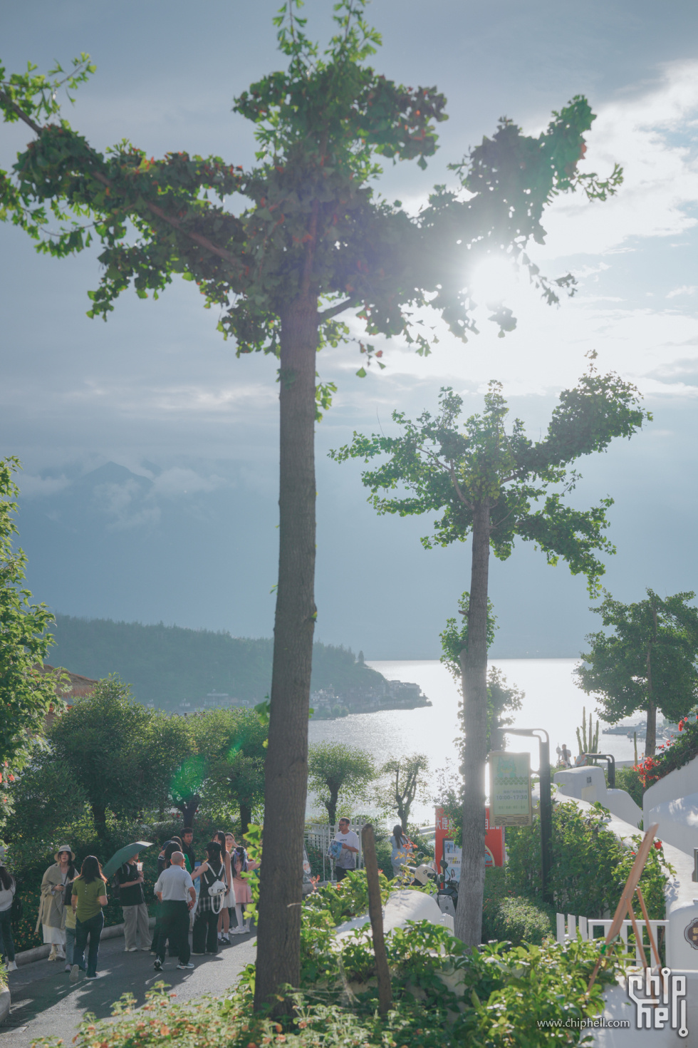 A7500853-lr4m.jpg