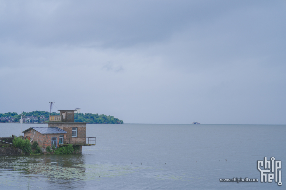 A7500503-lr4m.jpg