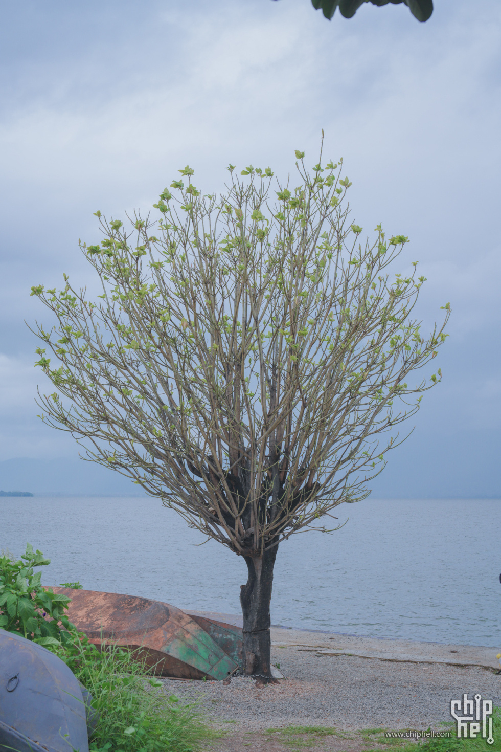 A7500556-lr4m.jpg