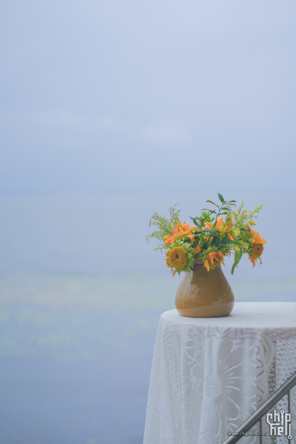 A7500664-lr4m.jpg