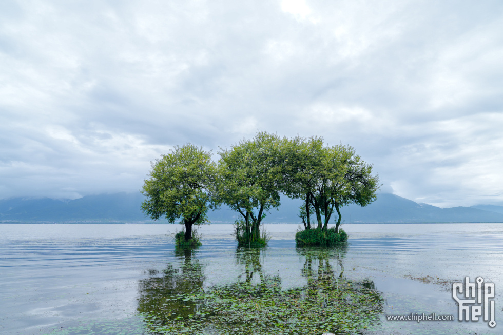 A7500747-lr4m.jpg