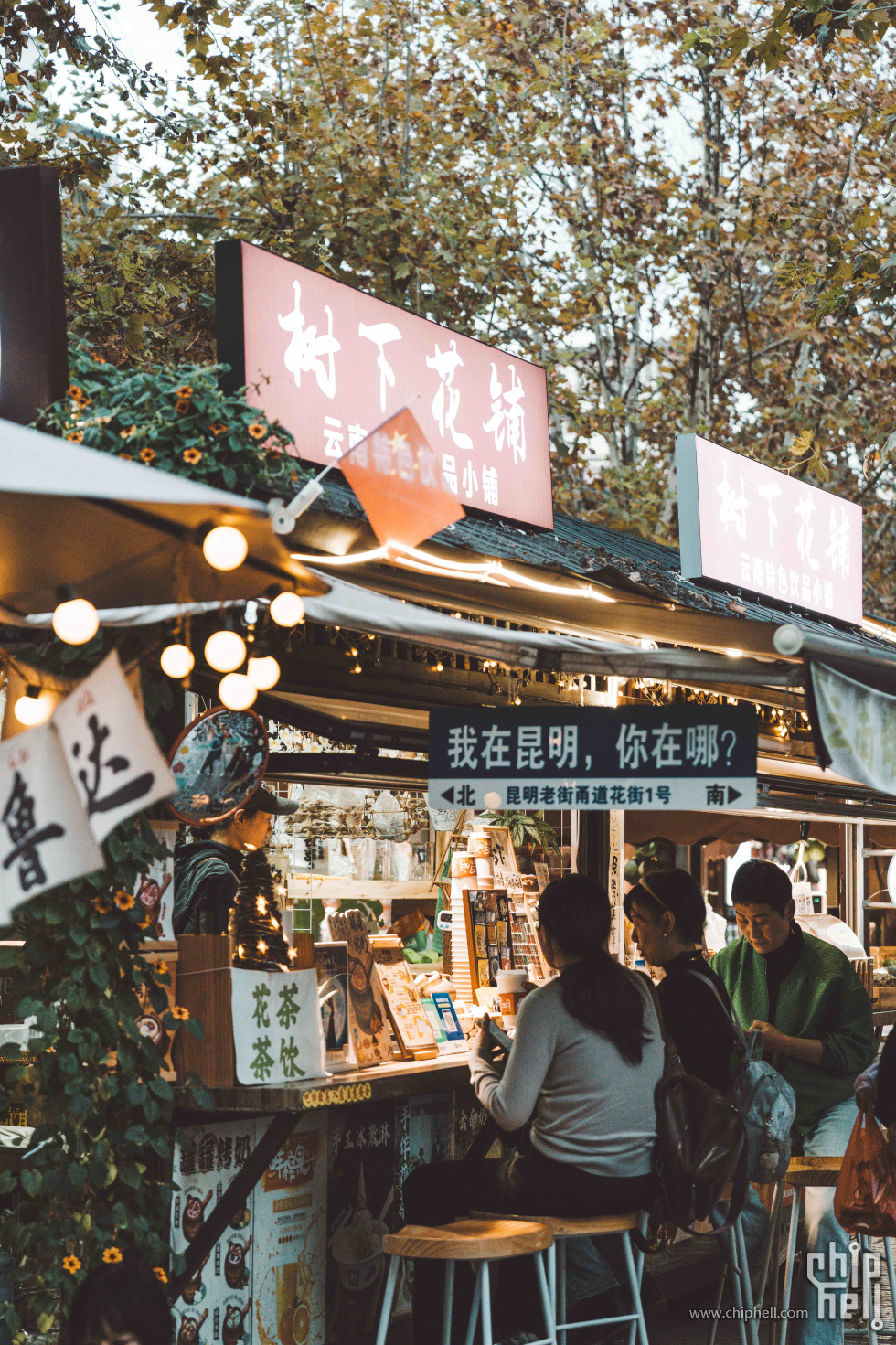 A7500291-lr4m.jpg