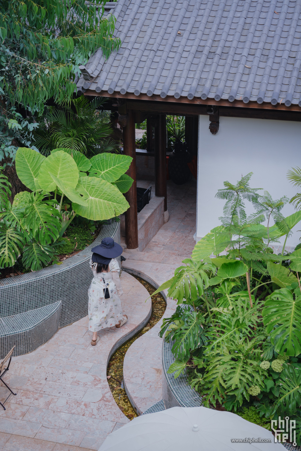 A7501279-lr4m.jpg