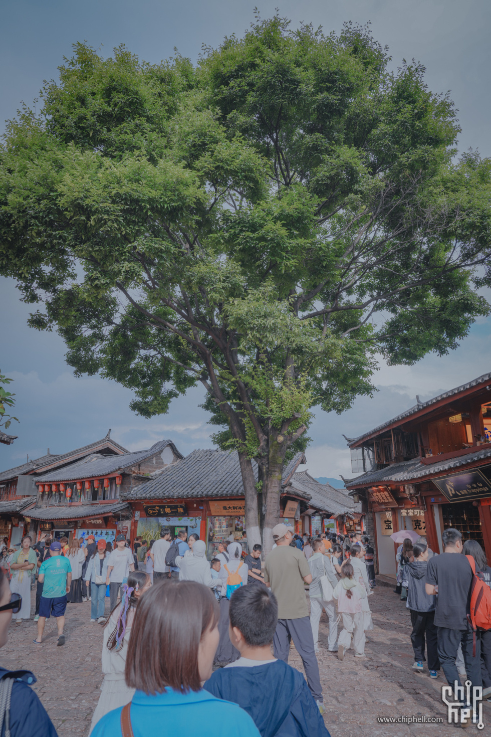 A7501449-lr4m.jpg