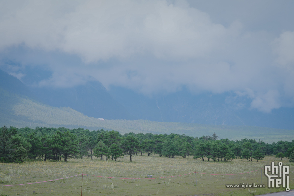 A7501963-lr4m.jpg