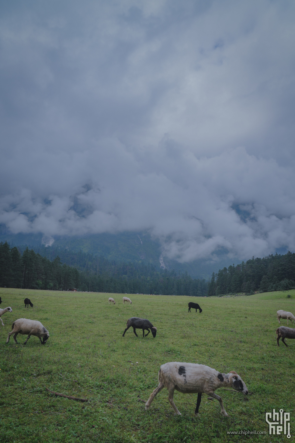 A7502056-lr4m.jpg