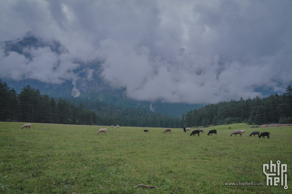 A7502128-lr4m.jpg