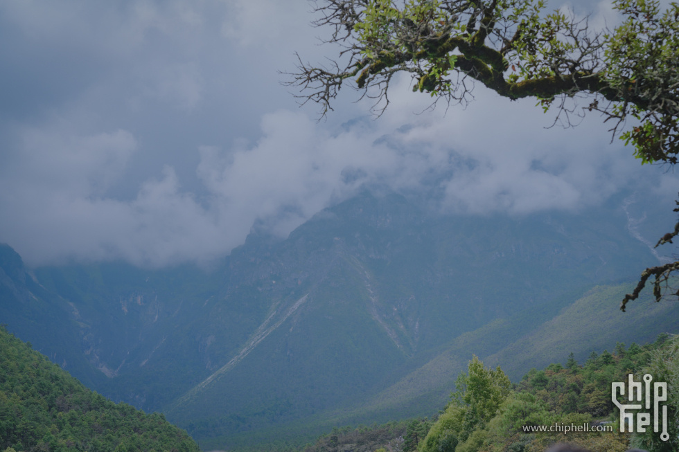 A7502403-lr4m.jpg