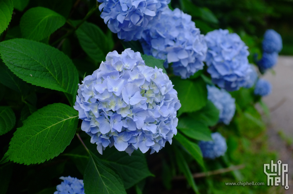 b35d24bb6de35e18db02a96fb457ddd5.jpeg