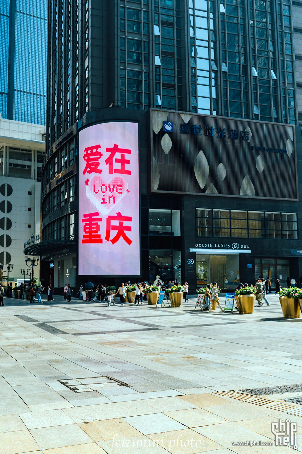 DSC08511.jpg