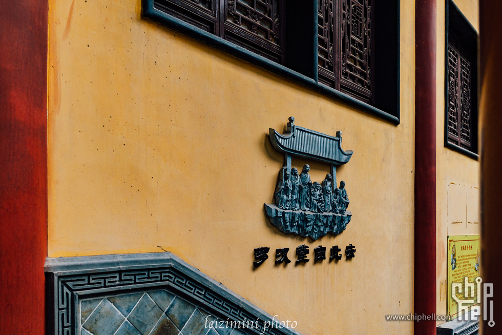 DSC08676.jpg