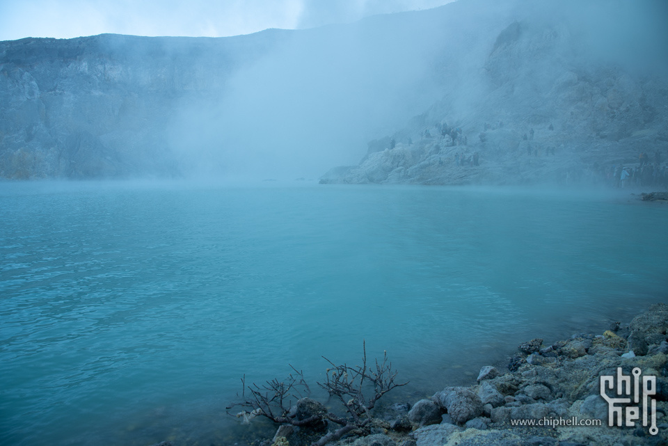 DSC_6286.jpg