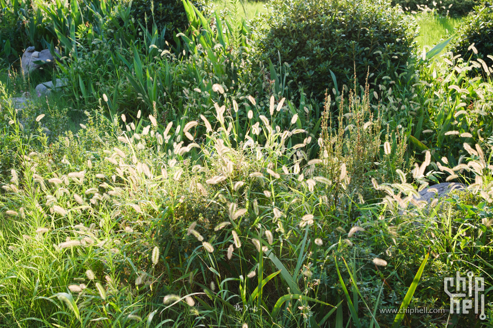 XE050011.jpg