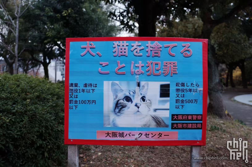 善待猫狗
