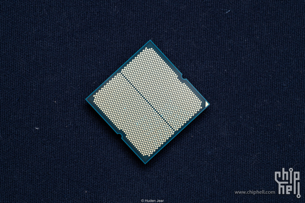 _1003777.jpg