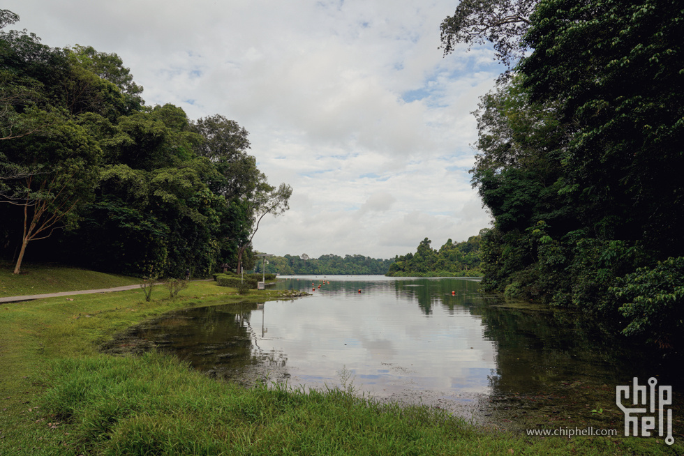 _DSC9870.jpg